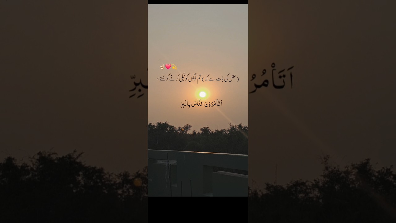 ALLAH ka paigaam quran ❤️ !! #realityshorts #quran #islam #shortfeed #islamicpoetry