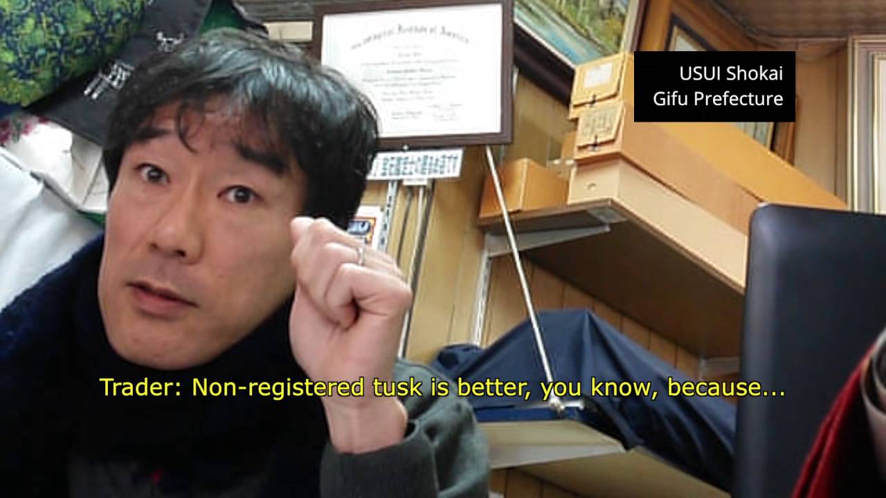 The Dirty Secrets of Japan's Illegal Ivory Trade