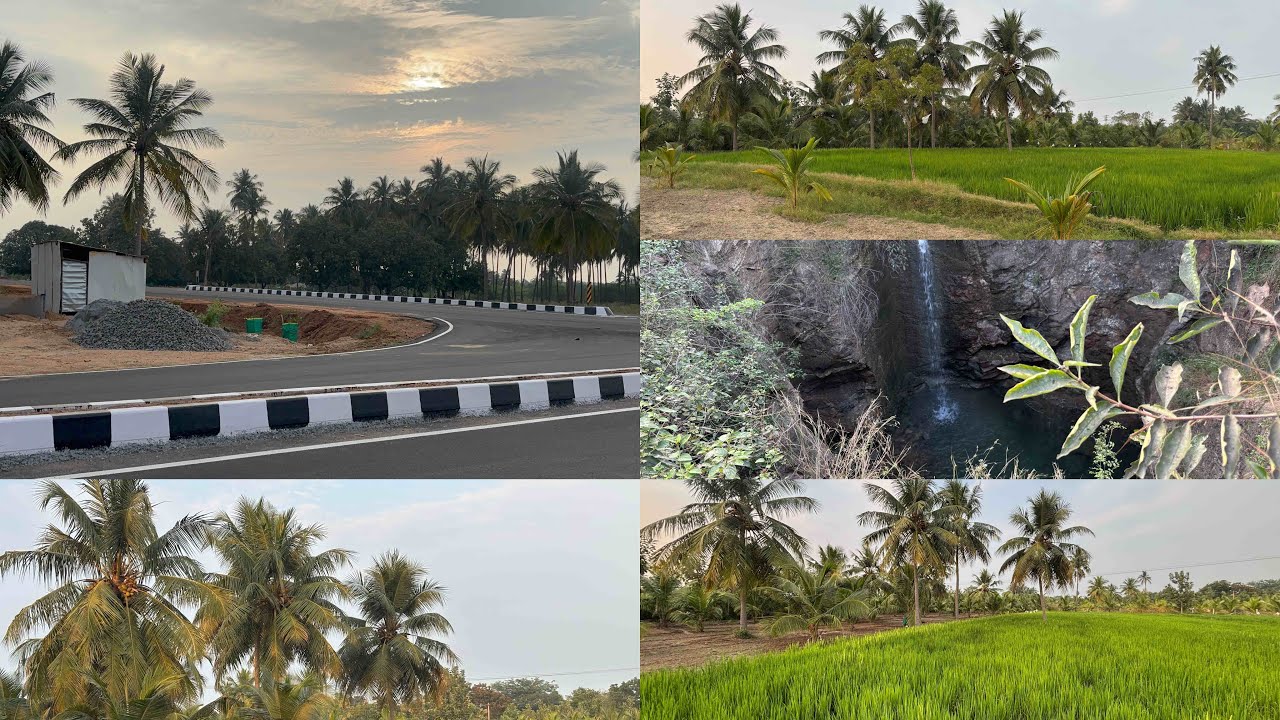 6379170190 திண்டுக்கல் Bus standல் இருந்து 10 கிலோமீட்டர் தொலைவில் 2.20 ஏக்கர் நெல் பூமி விற்பனைக்கு