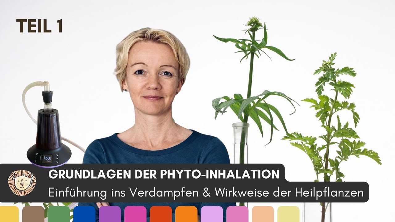 Grundlagen der Phyto-Inhalation, Teil 1: Einf&uuml;hrung ins Verdampfen & Wirkweise der Heilpflanzen