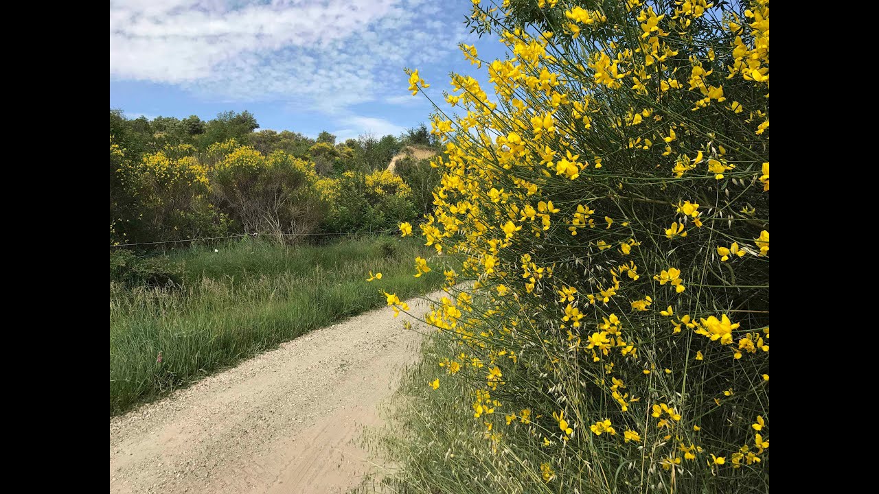 La farniente del sol (Ricoune) à Montfrin