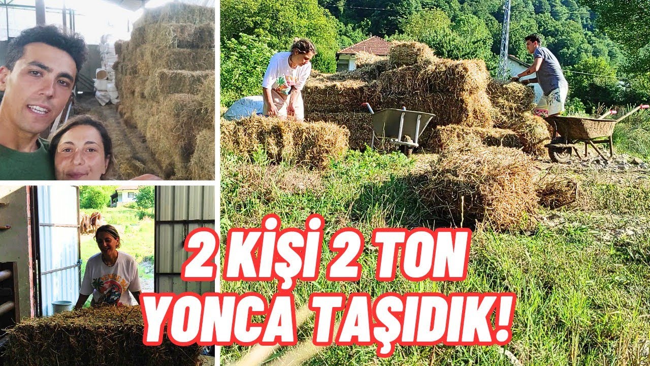 Sezon Öncesi Yemlerimizi Stokluyoruz | Yonca Balyası Aldık