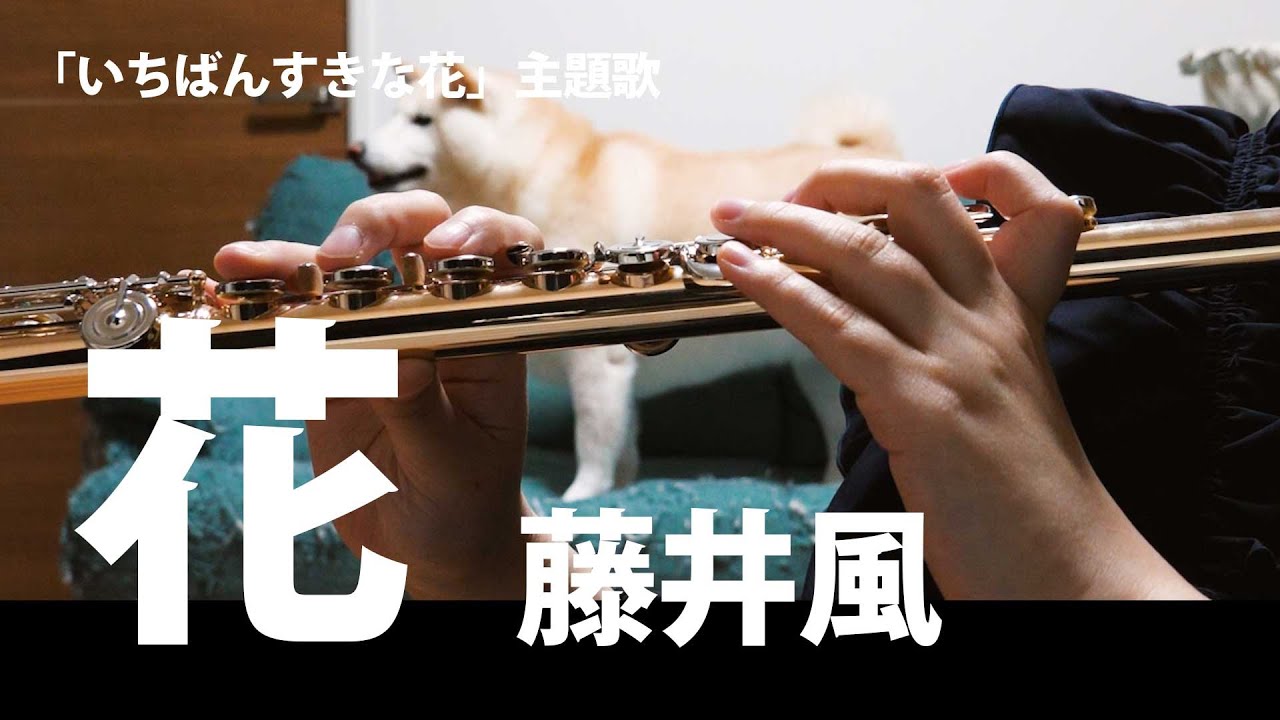 【#フルート】花/藤井風　ドラマ「いちばんすきな花」主題歌【演奏してみた】#flute #藤井風