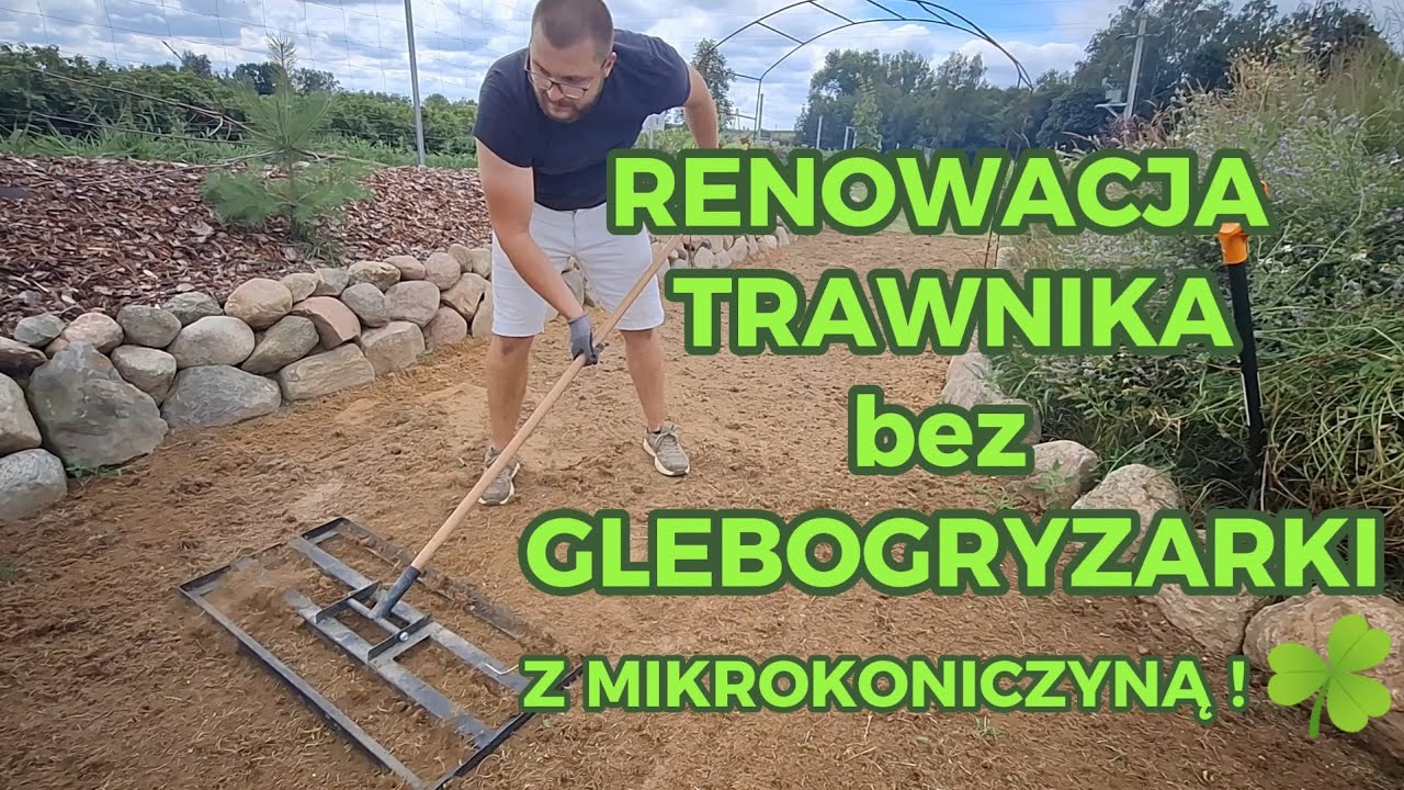 RENOWACJA TRAWNIKA BEZ GLEBOGRYZARKI Krok po Kroku. Trawnik z MIKROKONICZYNĄ