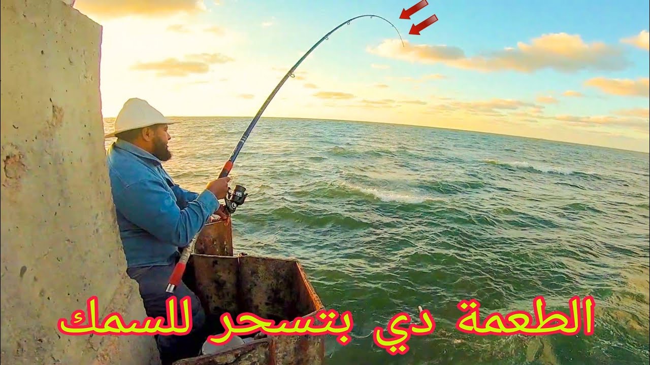 صيد السمك بالطعمة السحرية ابو جراب