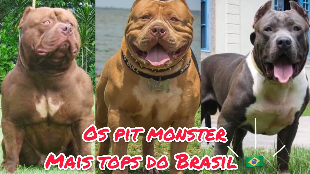 Os Pit Monster mais tops do Brasil | Parte 2