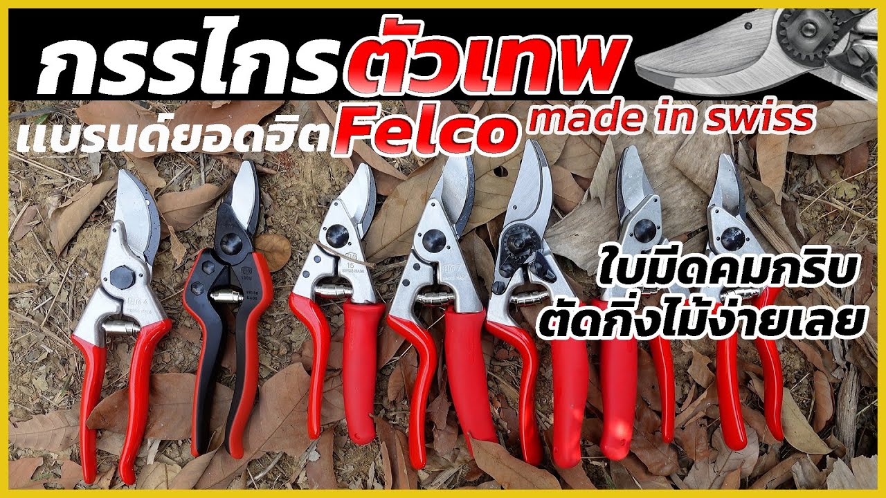 REVIEW กรรไกรตัดกิ่งไม้ ตัวเทพ FELCO เเบรนด์ฮิต made in swiss