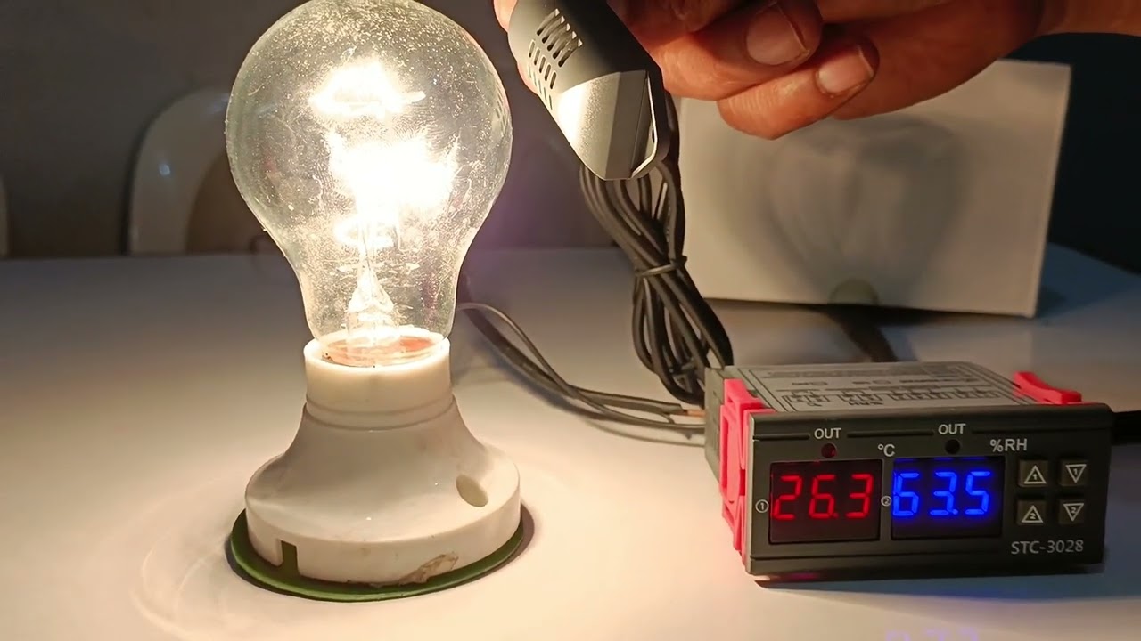 cómo programar el termostato STC3028 para una incubadora