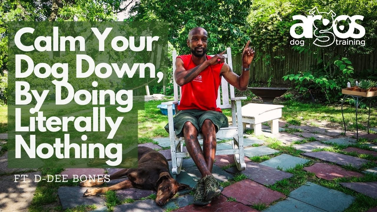 How to Calm Your Dog Down, By Doing NOTHING!