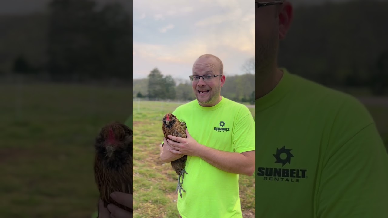 Everyone's Favorite Chicken! The Easter Egger! Green Eggs! #egg #eggs #2023 #chicken #learning