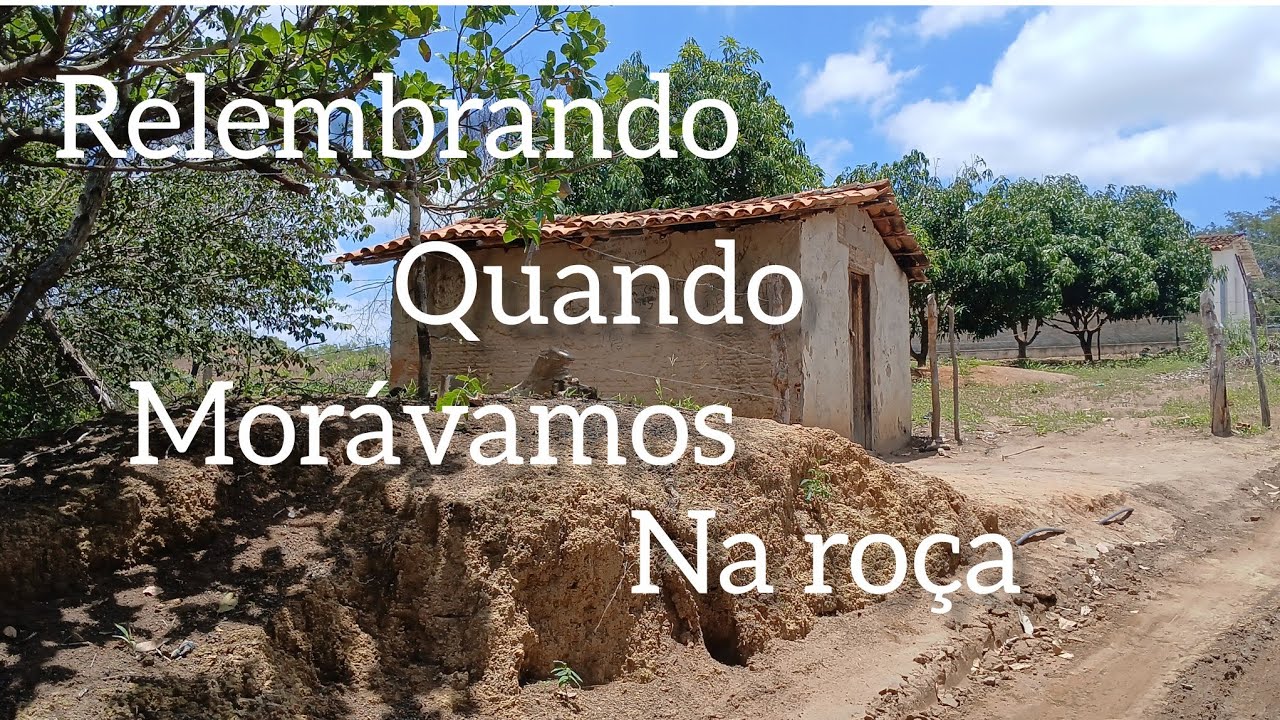 Matando a saudade da minha terra 