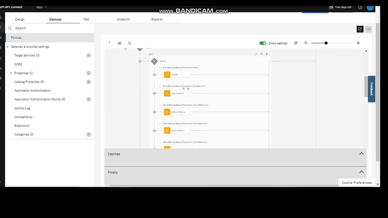 IBM API Connect policies
