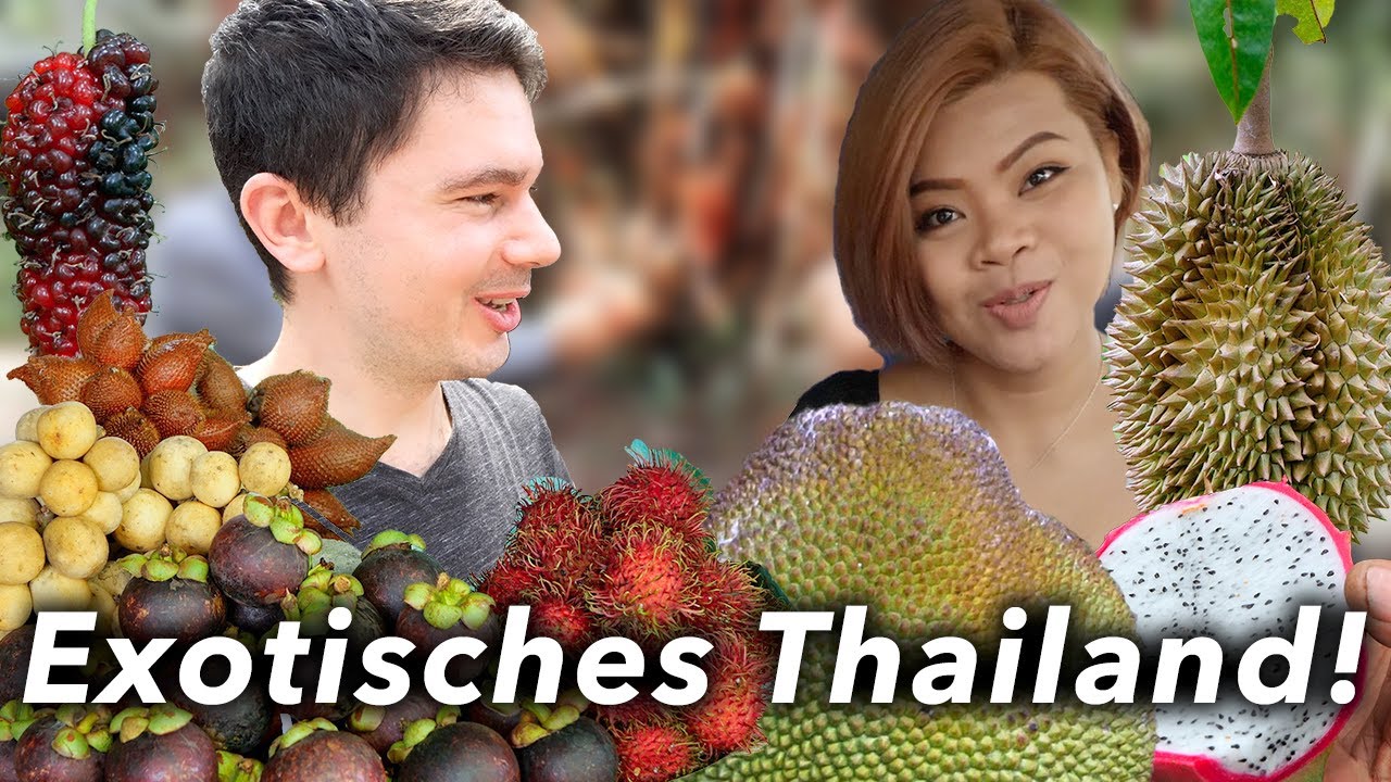 Ein guter Grund für eine Reise nach Thailand 😍