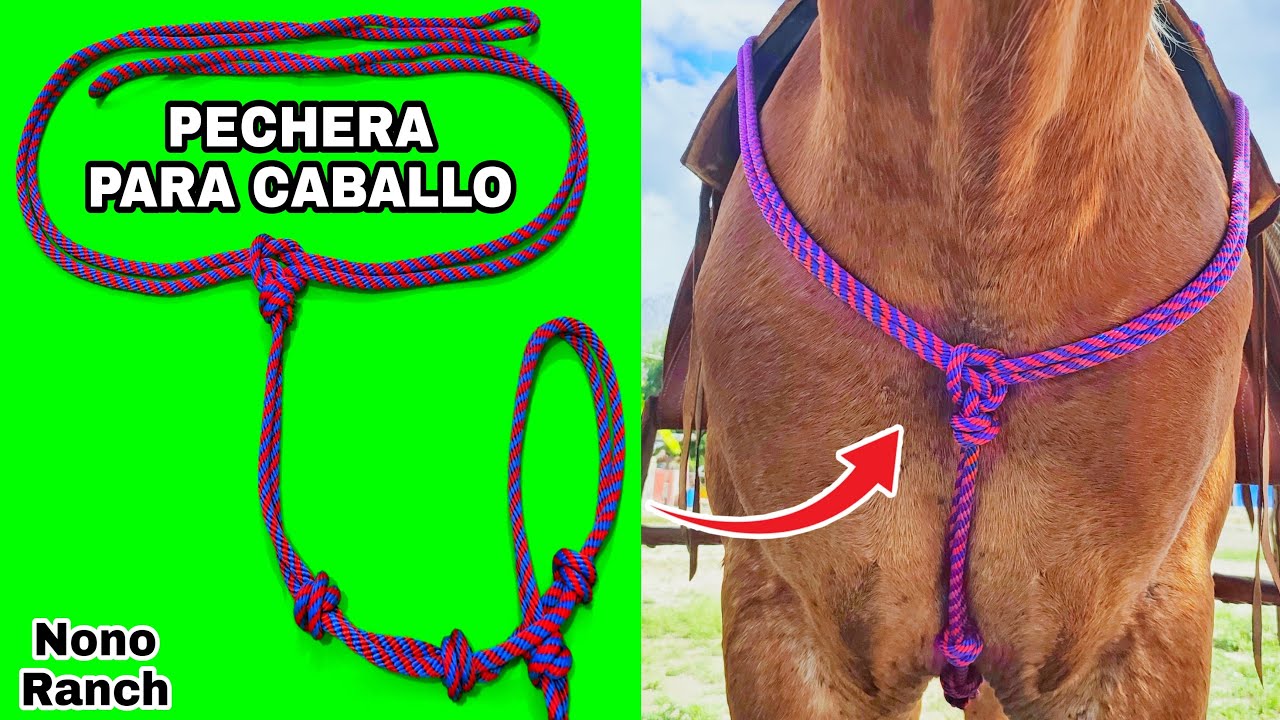COMO hacer una PECHERA para CABALLO👌