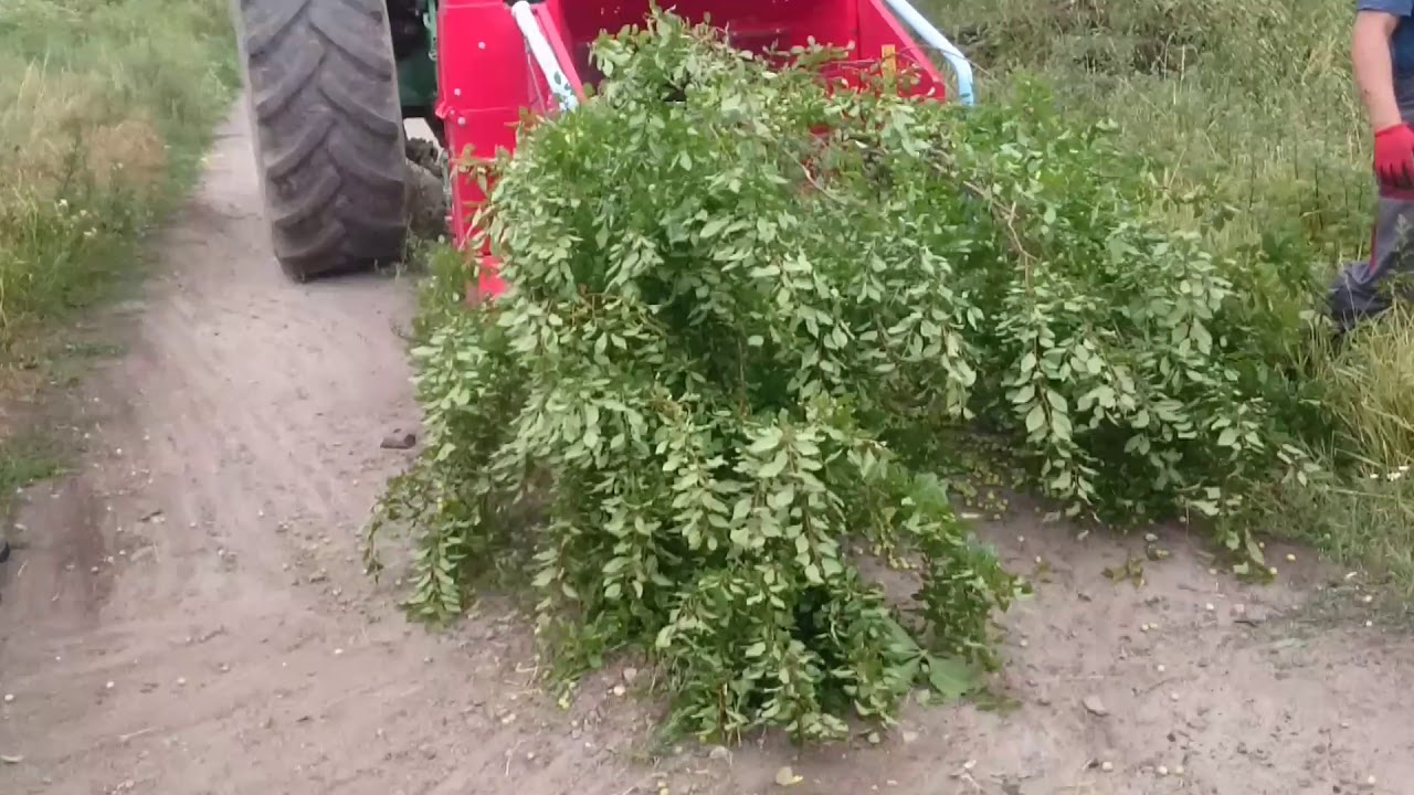 Rębak ciągnikowy TP Linddana  TP 250 PTO z ciągnikiem Fendt