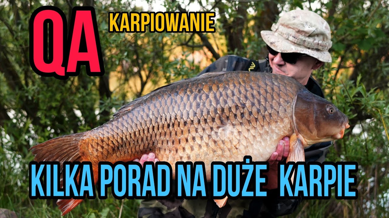 QA #29 - Kilka porad na duże i ostrożne karpie