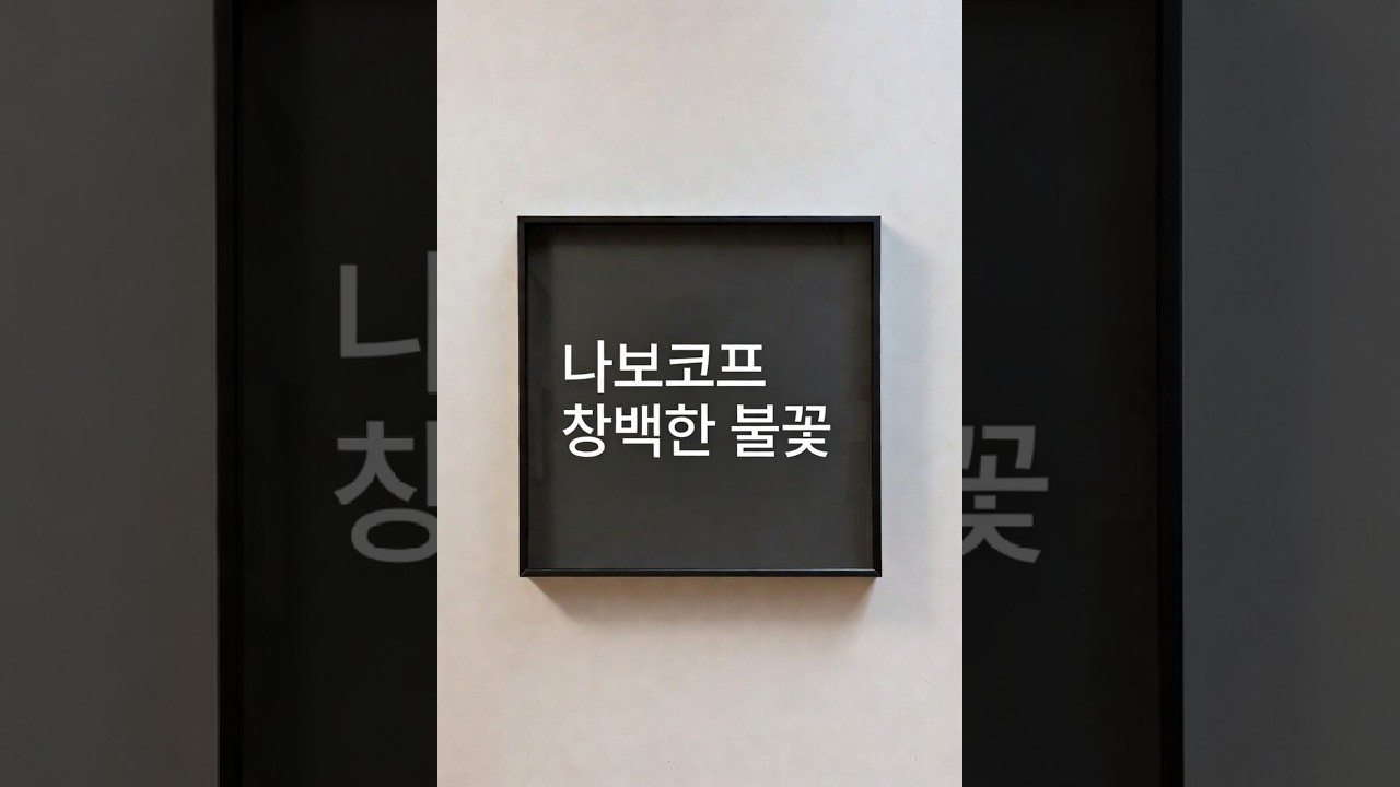 블라디미르 나보코프 - 