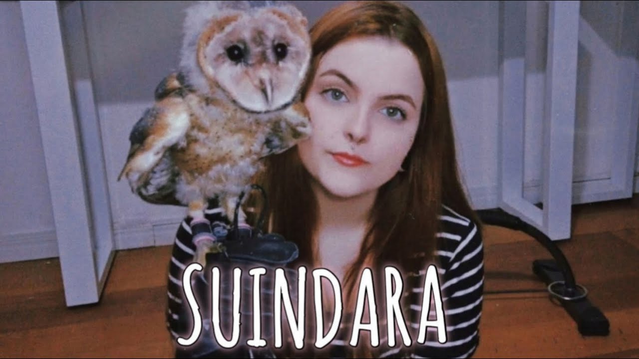 MINHA CORUJA SUINDARA