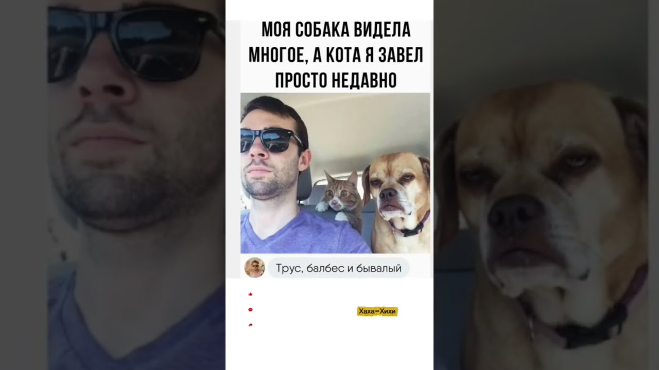 #юмор