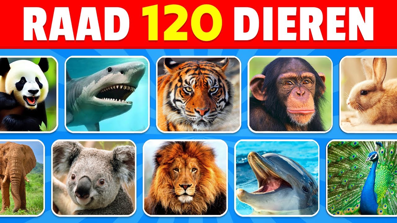 Raad 120 Dieren in 3 Seconden | Van MAKKELIJK tot ONMOGELIJK!