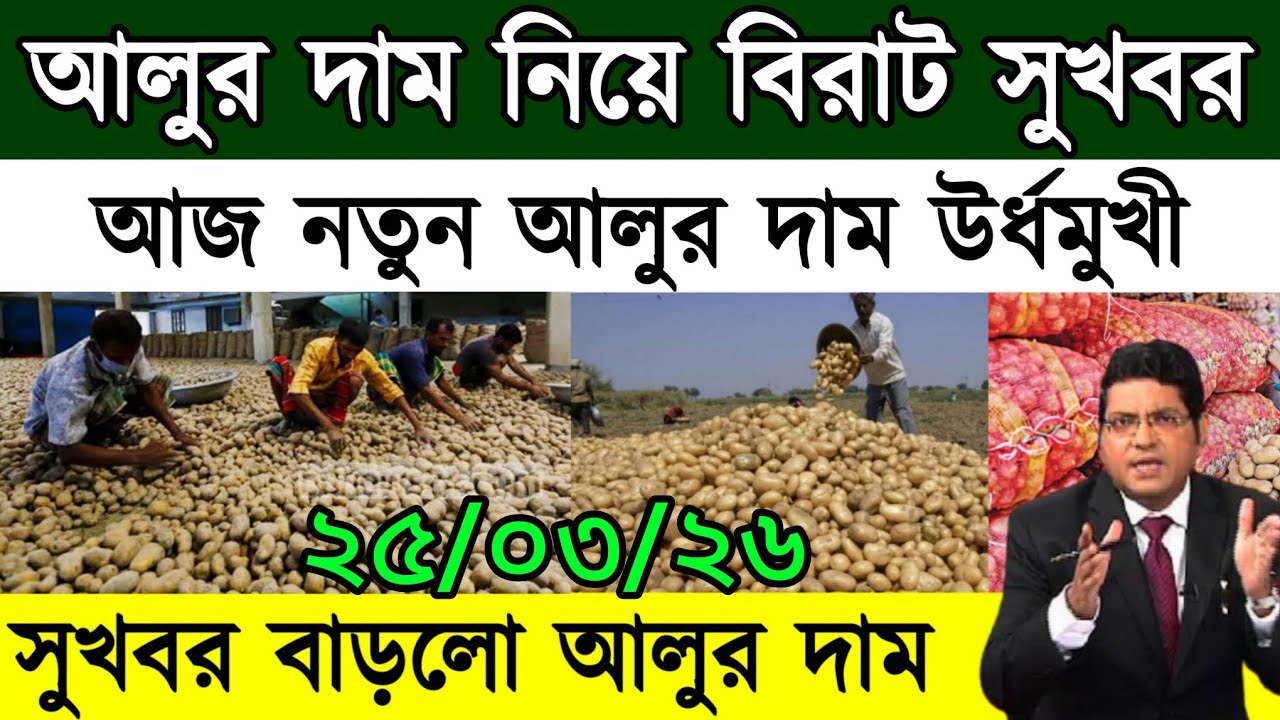 আজকের আলুর বাজার মূল্য/india potato news West bangal/Potato price today west bengal