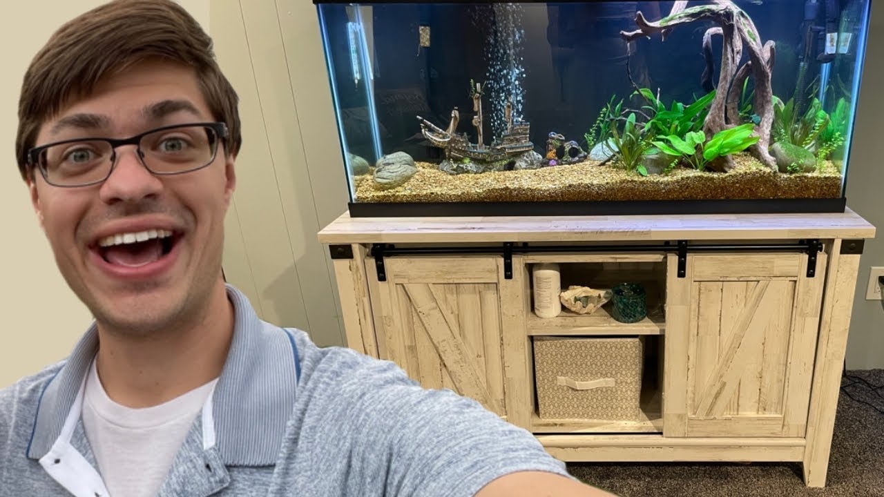 Quick review: Top Fin® Aquarium Stand - 55 to 75 Gallon