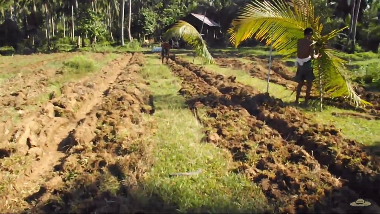 v109: Land Prep p2 | Making Plot and Canal | Pakwan sa Tag-ulan