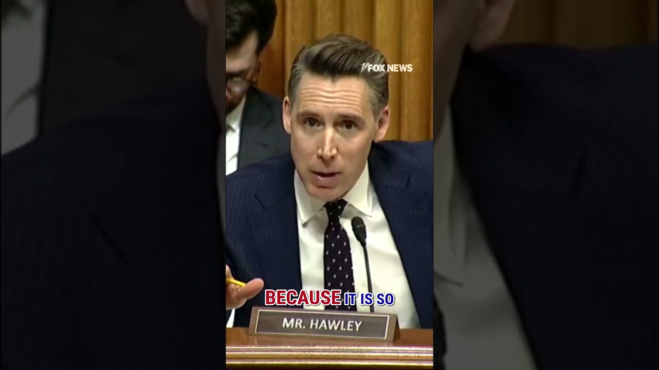 Sen. Hawley CONFRONTS Netflix CEO on 'trans themes' #shorts