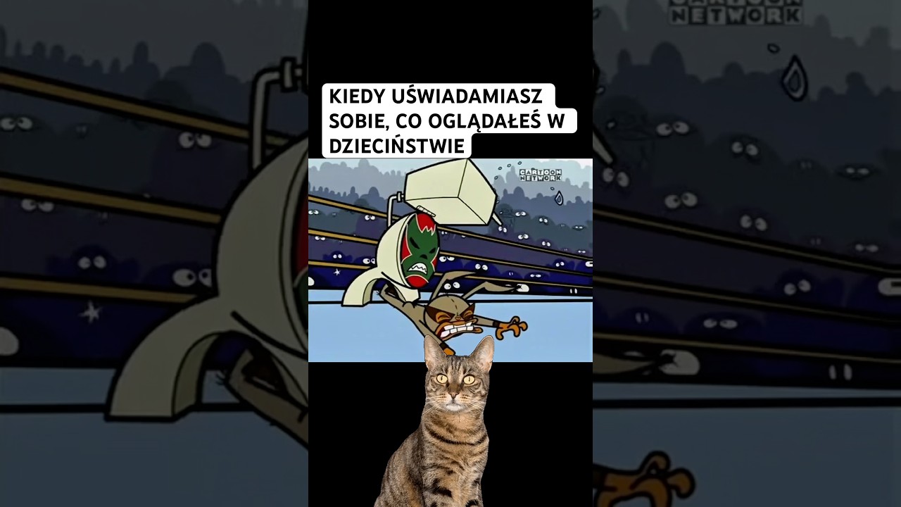 Mucha lucha kto pamięta? Zemsta zamaskowanego sedesu!