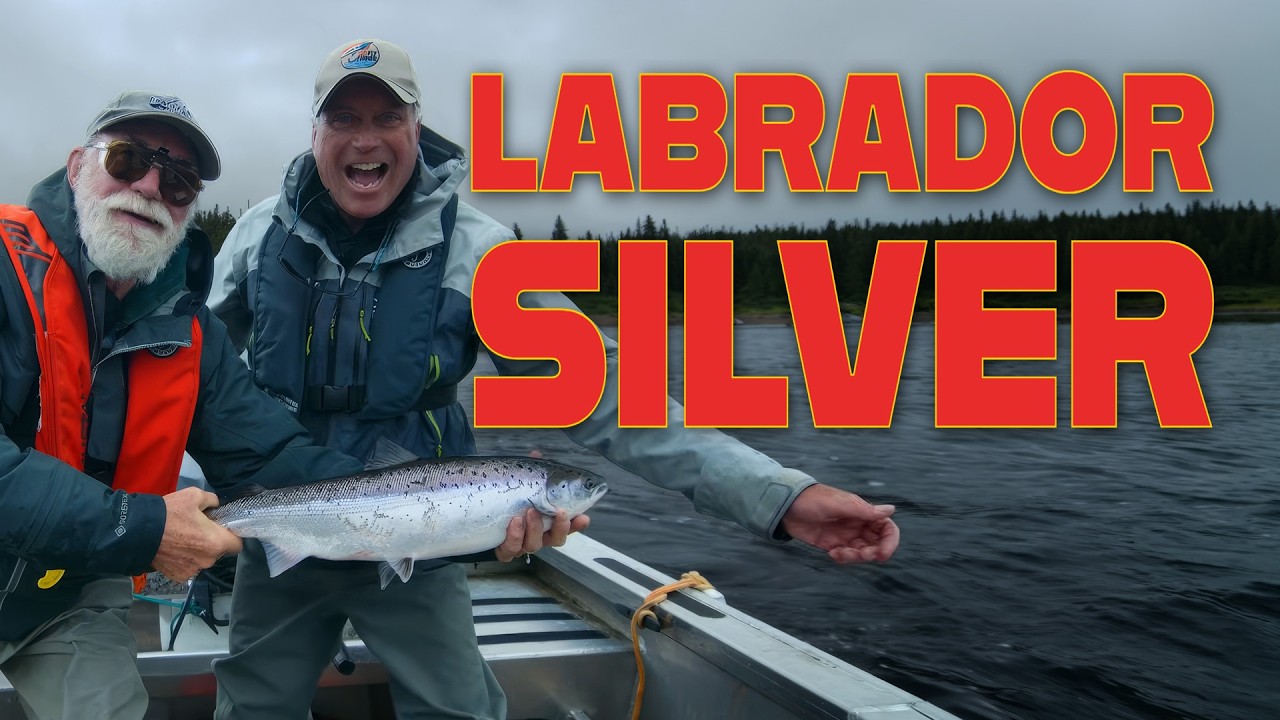Hunting for Silver