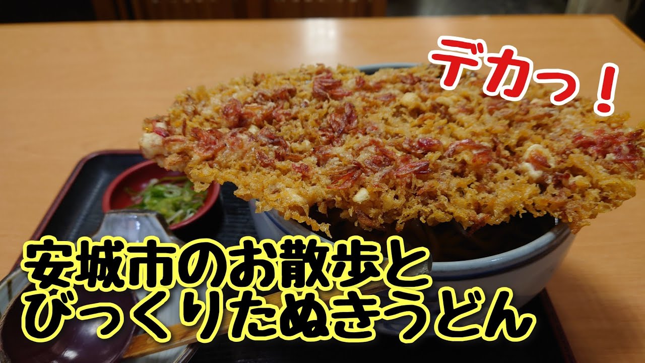 ぼっち女が安城市をお散歩！つるつる手打ちうどん、かき揚げにビックリ！【鶴林古】