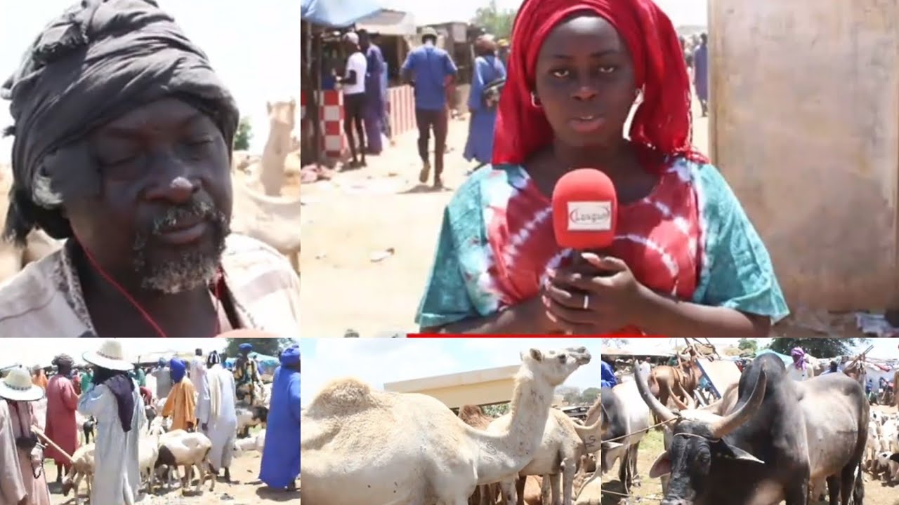 Magal 2022 : Daral keur kab à touba