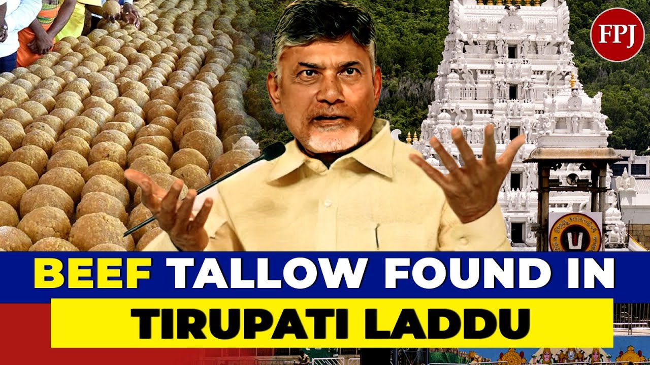 Shocking Lab Report! Tirupati's Sacred Laddus Contaminated with Beef Tallow and Fish Oil |