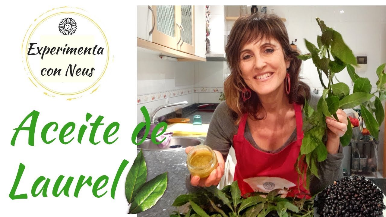 Obtener manteca de laurel. Tutorial