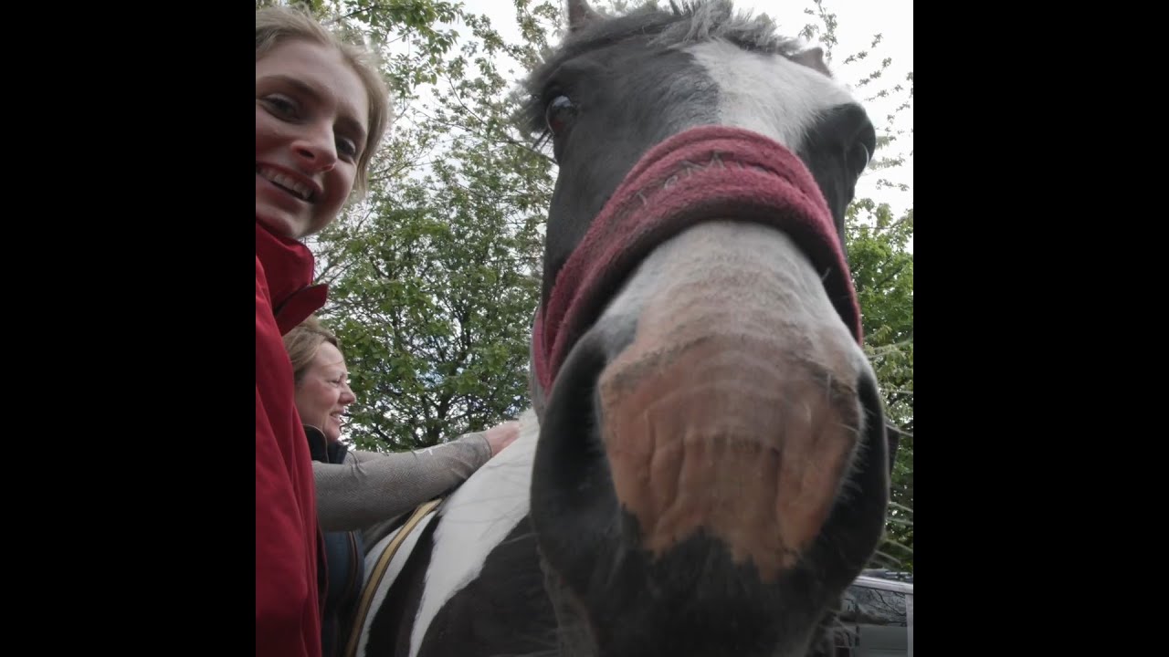 Get ready for adventurous days in the saddle!