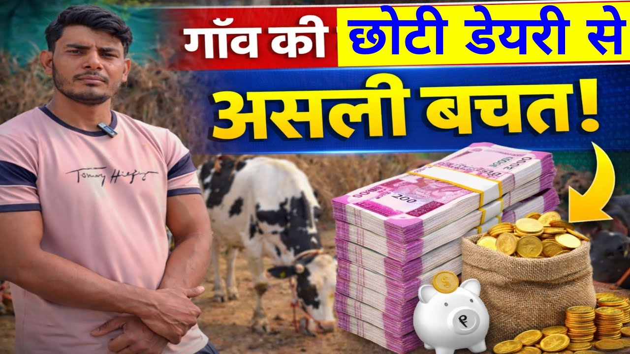 BPed किया फिर गांव में छोटी डेयरी फार्म दुनिया की खुशी/dairy farm/small dairy farm up/cow farm up ||