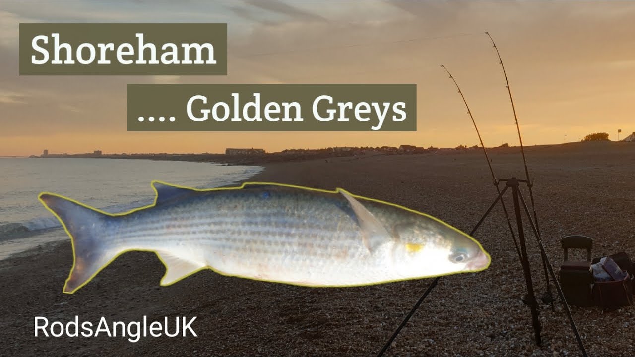 Shoreham …. Golden Greys: BEACH ROAD