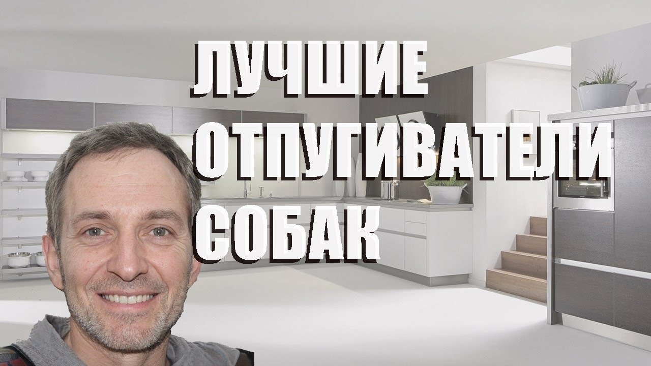 Лучшие отпугиватели собак - рейтинг 2023 года