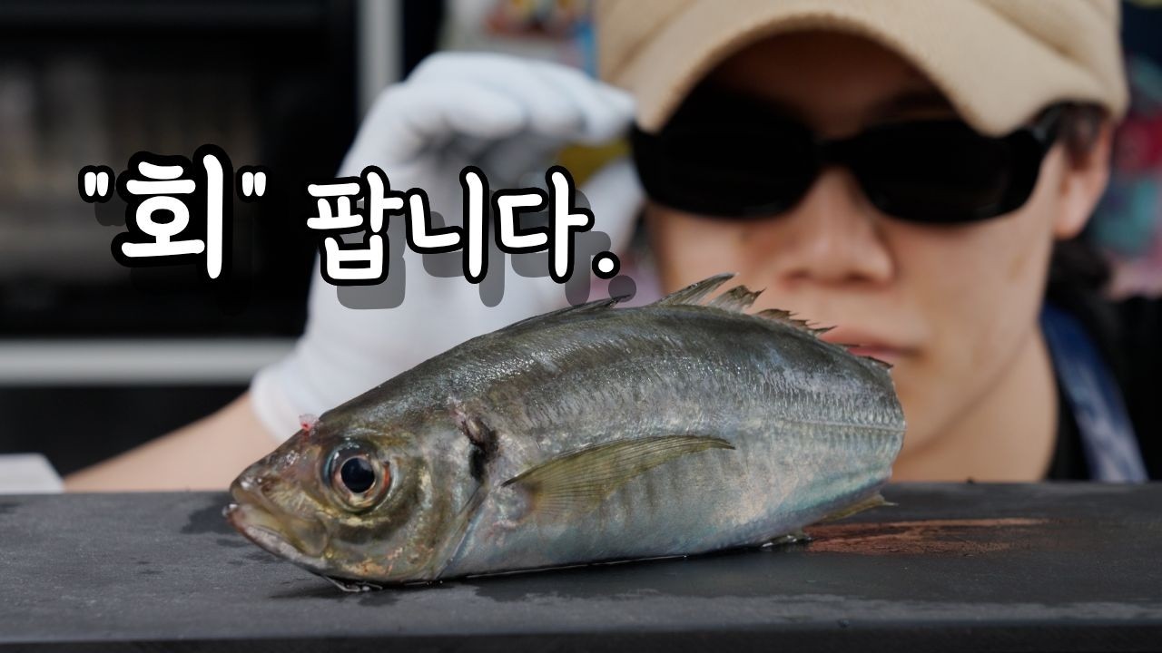 생선회 장사 시작 했습니다.