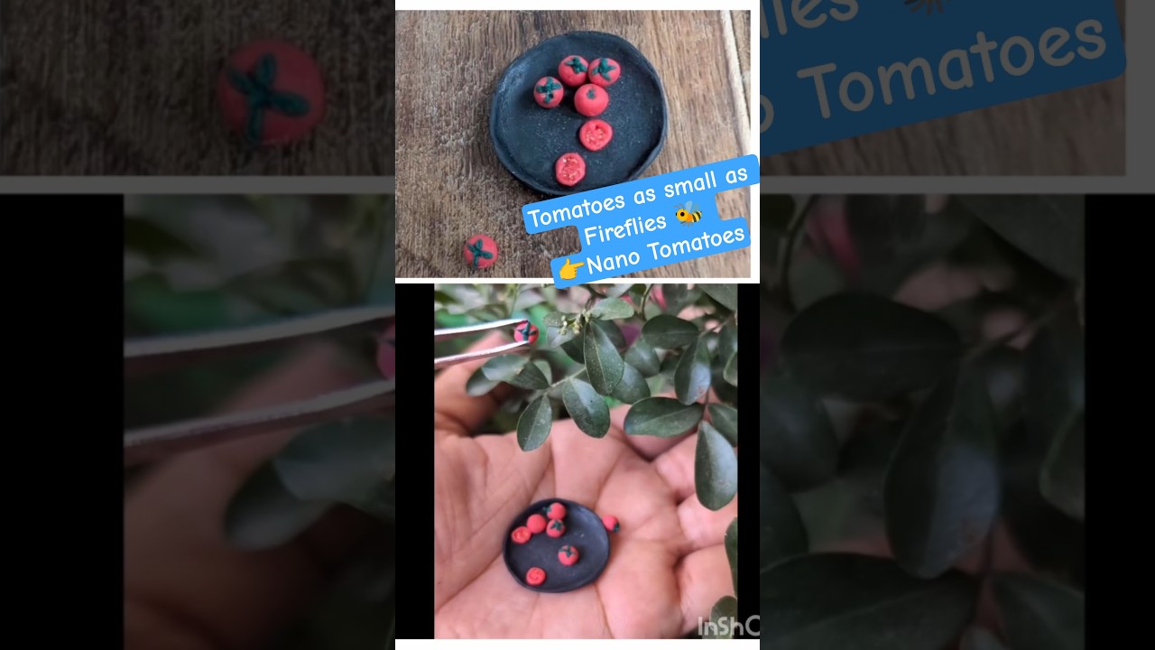 DIY Miniature Clay Tomatoes &ndash; Tiny Plate of Freshness 🍅🍅 #shorts #shortvideo #viral  #zarooratrishta