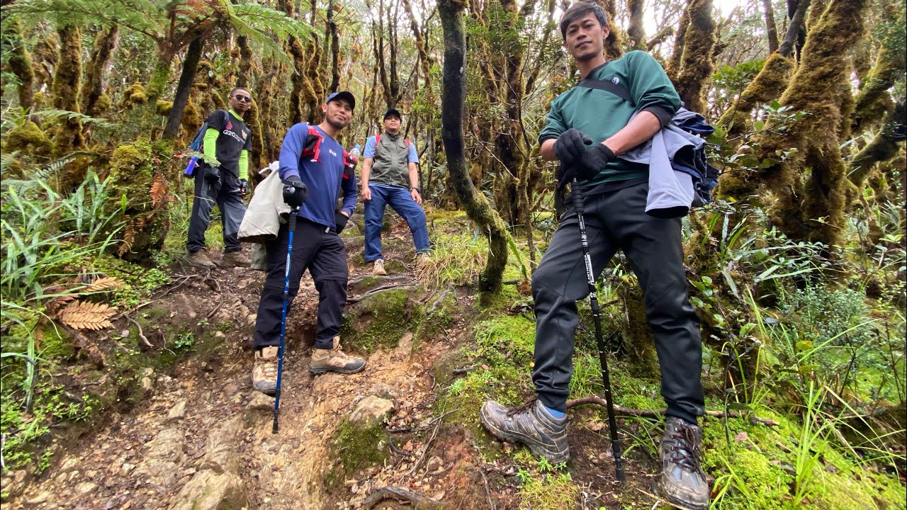 PENDAKIAN GUNUNG LATIMOJONG 3478 MDPL | gunung tropis dengan pemandangan eksotis, 7 summit indonesia