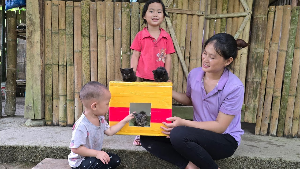 Single mother raising two children - harvesting rice, building a home for three kittens and cooking