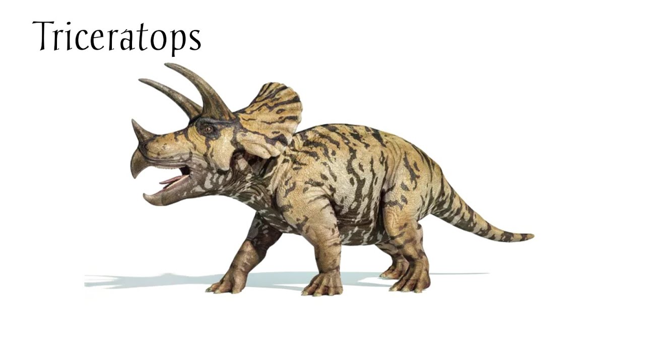 Triceratops Sounds - Roar of the Three-Horned Titan