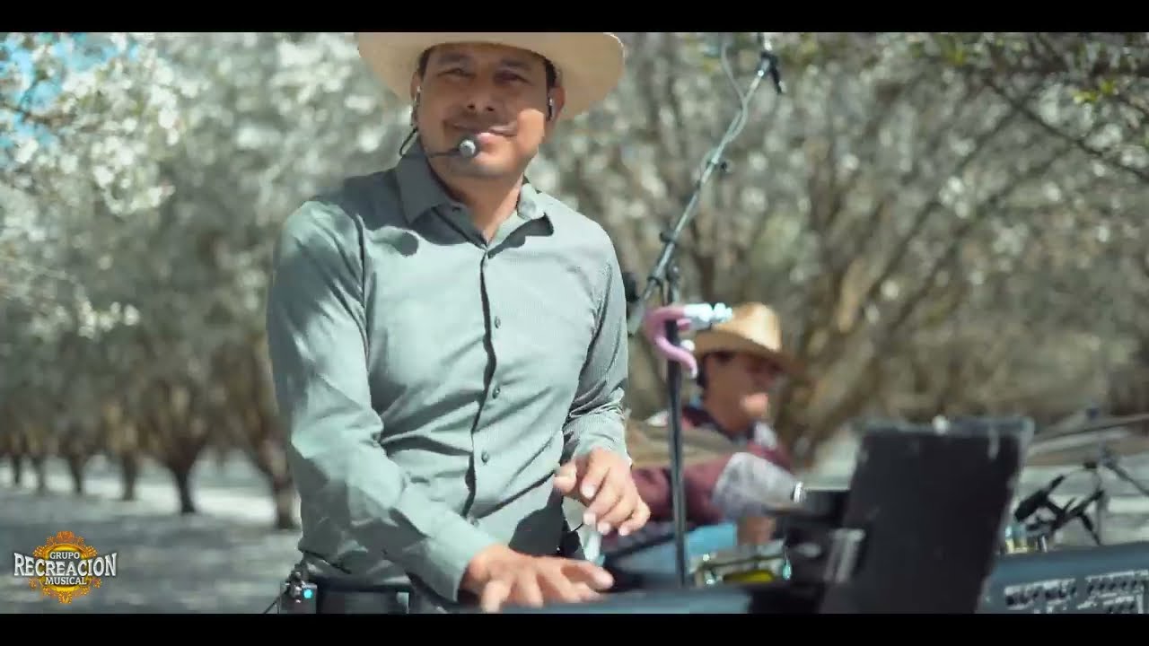 Sones De Betaza (chilena) - Grupo Recreacion Musical 4K UHD