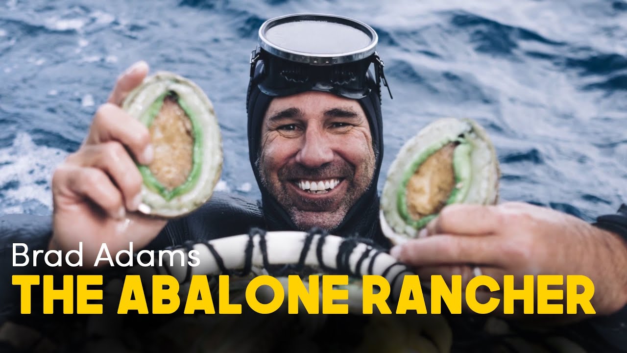 Brad Adams the abalone rancher | Sustainable Seafood on Steroids in Australia's pristine southwest