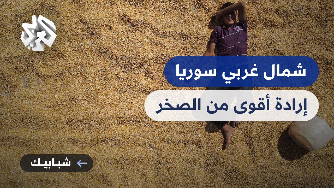 شمال غربي سوريا .. مزارعون يعكفون على استصلاح أراض صخرية لزراعتها
