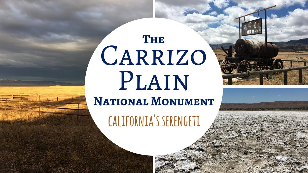Carrizo Plain National Monument / California's Serengeti!