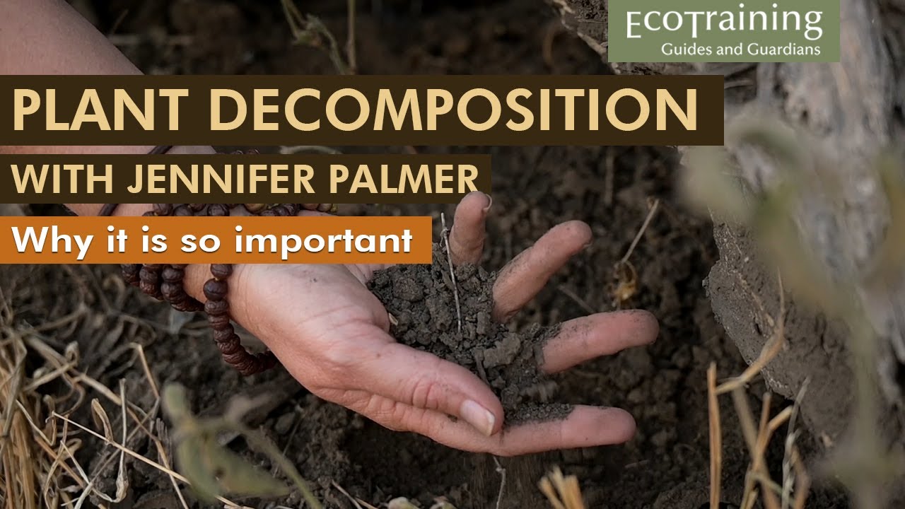 Flora Fridays: Jennifer Palmer | Plant Adaptations 6