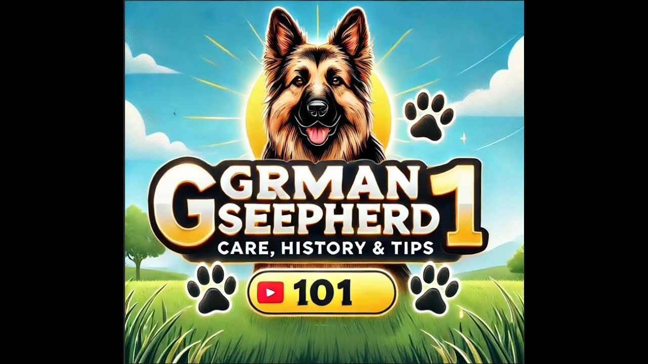 German Shepherd 101: History, Care, and Essential Tips 🐾