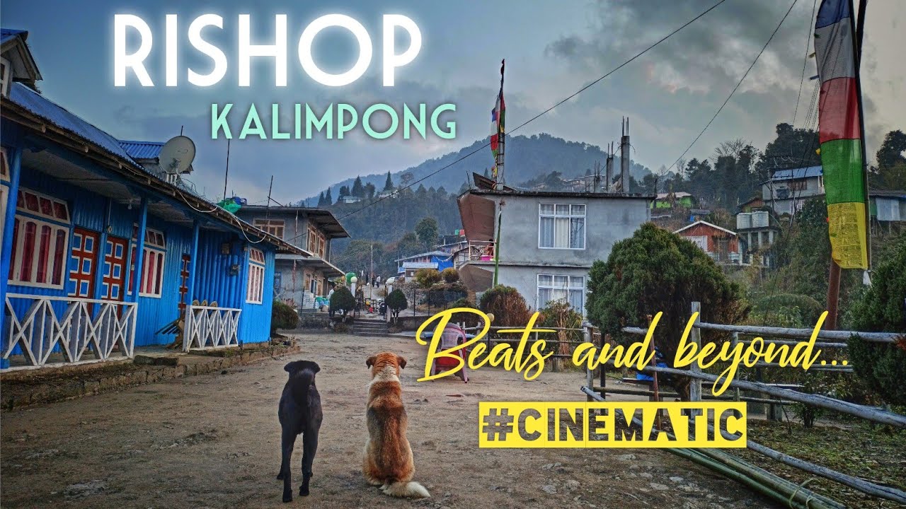 RISHOP - রিশপ / RISHYAP LAVA LOLEGAON TOUR / #KALIMPONG  SUNTEC ECO RESORT  #RISHOP TRIP #cinematic